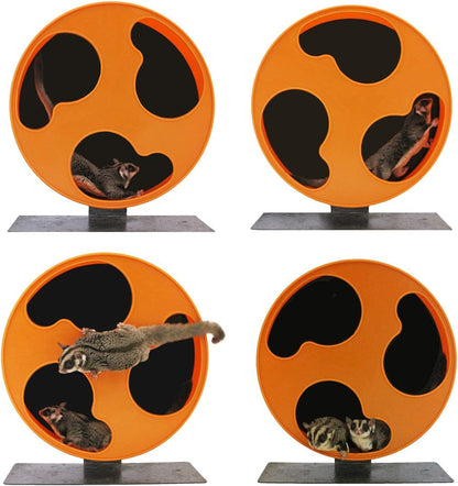 Silent Runner 12" Regular | Wheel + Cage Attachment | Sugar Gliders, Hamsters, Rats8