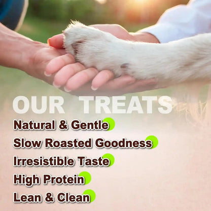 Afreschi Natural Chicken Jerky Dog Treats, Chicken Chips, 16 Oz | Natural Dog Treats, Human Grade, High Protein, Healthy Easily Digestible Grain Free Puppy Chews, Chicken Chips, 16 Oz4