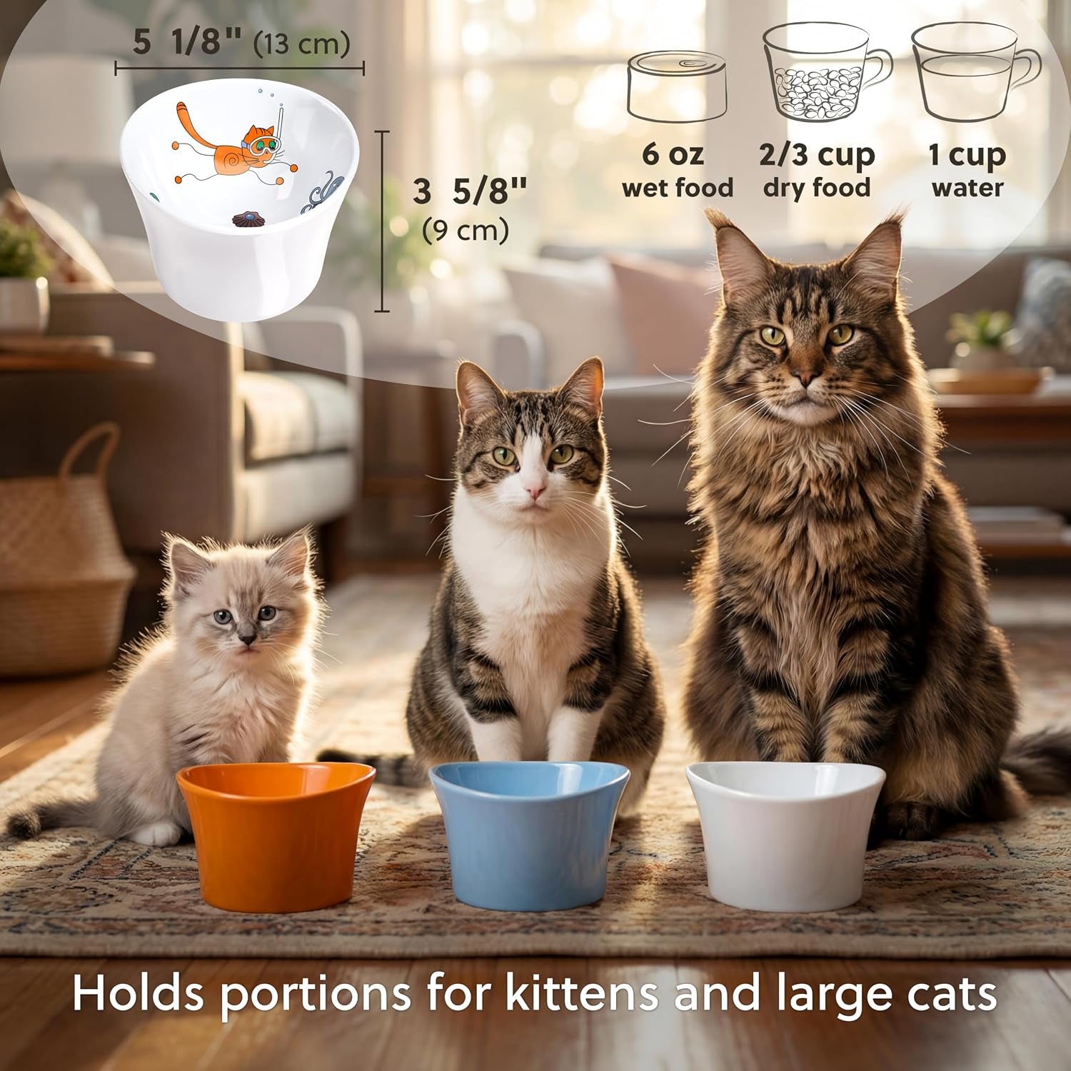 elevated-cat-bowls-for-water-whisker-neck-fatigue-shallow-cat-dishes-raised-bowl-for-indoor-cats-vet-recommended-height-modern-pedestal-design-non-slip-dishwasher-safe-8-oz-powder-blue
