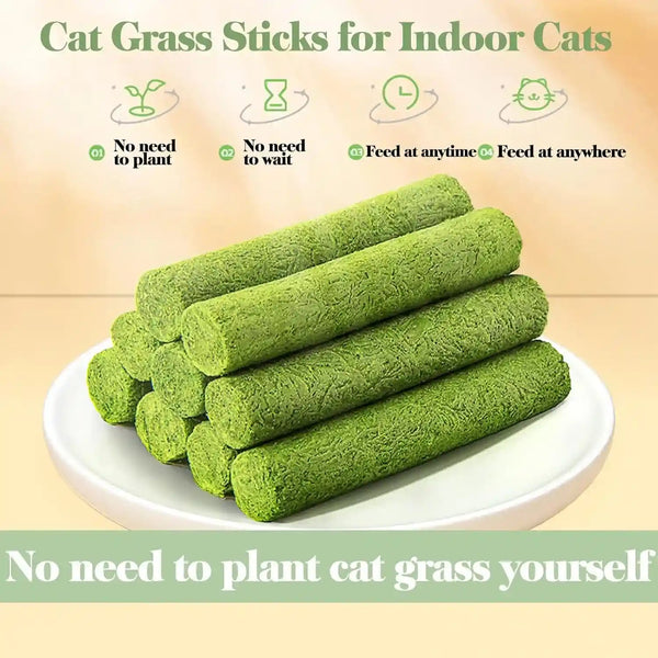 30G Cat Grass Sticks, Freeze Dried Cats Grass Teething Stick, Edible Cat Chew Toy for Teeth Cleaning Dental Health and Hairball Removal6
