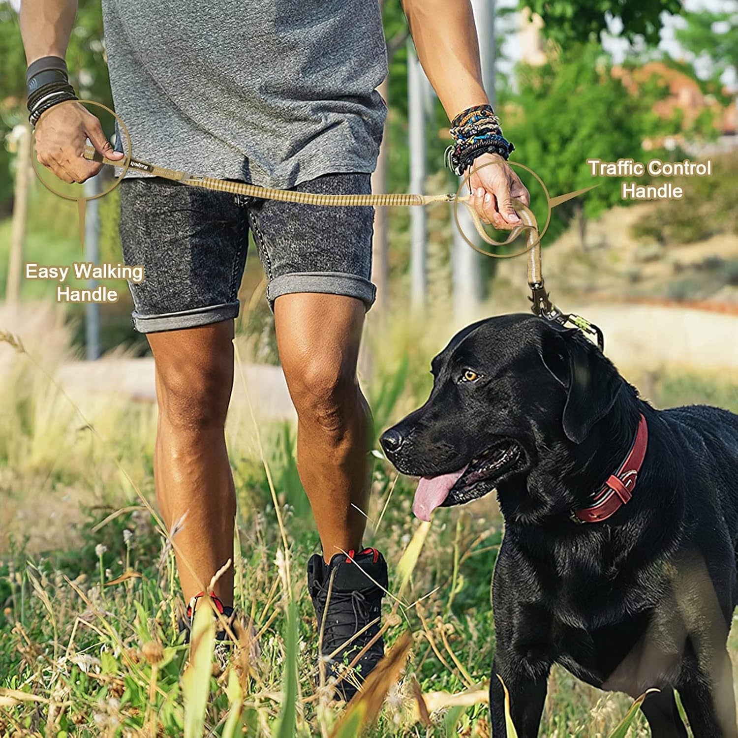 raipult-tactical-dog-leash-heavy-duty-4-6ft-shock-absorbing-bungee-leash-with-quick-release-clip-2-handles-no-pull-waking-lead-with-car-seatbelt-for-medium-large-dogs-that-pull-khaki