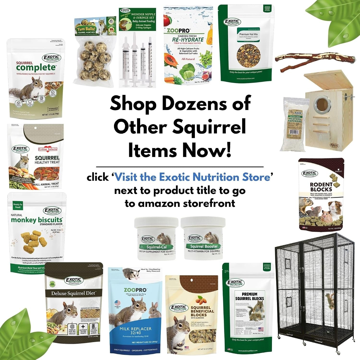 exotic-nutrition-squirrel-beneficial-blocks-healthy-unique-supplemental-food-with-nuts-seeds-10-oz