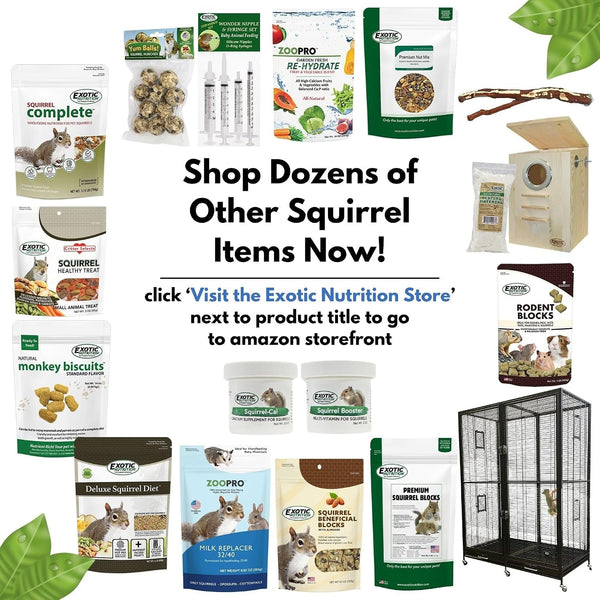 Exotic Nutrition Squirrel Beneficial Blocks - Healthy & Unique Supplemental Food with Nuts & Seeds, 10 Oz9