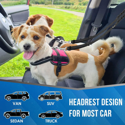 Lukovee Double Dog Seat Belt, Dual Pet Car Headrest Restraint Safety Seatbelt No Tangle Dog Leash Duty Adjust Elastic Bungee Puppy Lead Splitter Connect Harness in Vehicle Travel for 2 Dogs,Black4