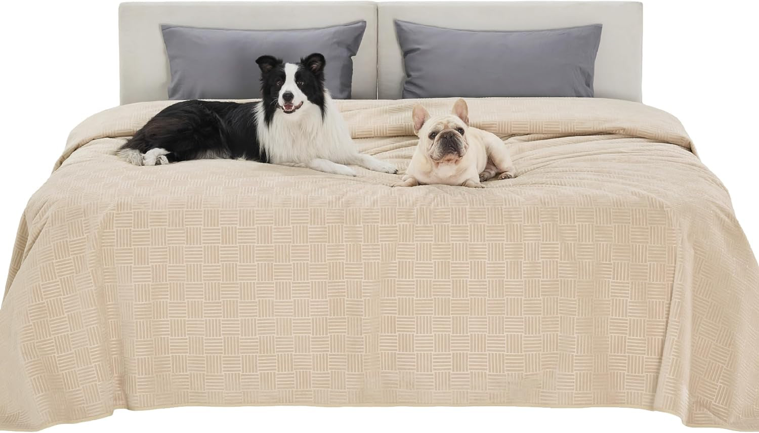 bedsure-waterproof-couch-cover-for-dogs-washable-waterproof-blanket-for-large-dogs-couch-sofa-bed-cozy-lightweight-furniture-protector-for-pet-cat-quick-drying-ash-grey-52x82in