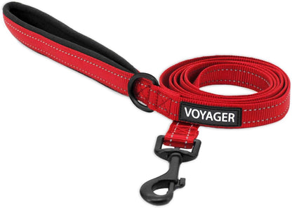Best Pet Supplies Voyager Nylon Dog Leash - Fuchsia, Small | 5Ft in Length, 5/8" in Width, Reflective, Soft Neoprene Handle, Heavy Duty Metal Clips for Running, Walking & Training26