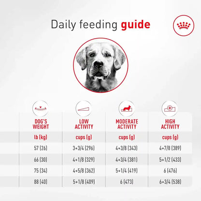 ROYAL CANIN Golden Retriever Adult Dry Dog Food, 30 Lb Bag10