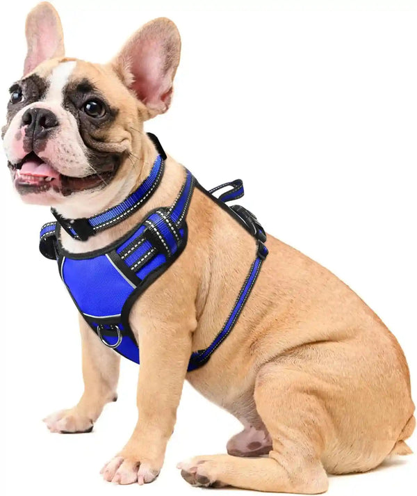 Dog Harness No Pull, Pet Harnesses with Dog Collar, Adjustable Reflective Oxford Outdoor Vest, Front/Back Leash Clips for Small, Medium, Large, Extra Large Dogs, Easy Control Handle for Walking12