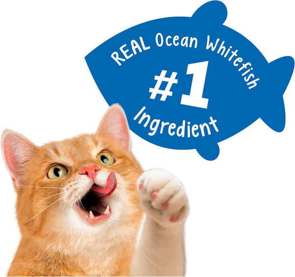 Purina Friskies Party Mix Cat Treats, Beachside Crunch, Made with Ocean Whitefish, Crunchy Cat Treats for Adult Cats, 20-Ounce Resealable Canister (Pack of 2)4