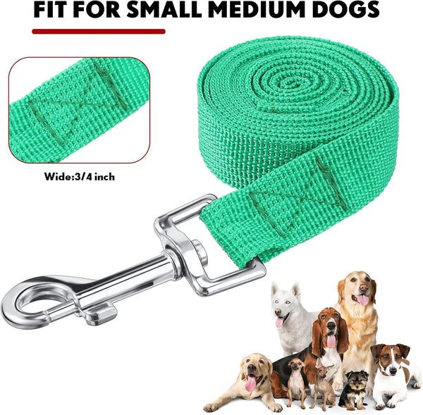 24 Pack Nylon Dog Training Leash Bulk 5 Ft Dog Leash for Small and Medium Puppy Traction Rope for Training, Play, Camping, or Backyard, 12 Assorted Colors(Vibrant Colors)3