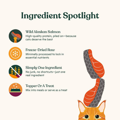 Made by Nacho Freeze-Dried Cat Treats - Healthy, Limited Ingredient Cat Treats - High Protein, Nutrient-Rich Crunchy Treats. (Wild Alaskan Salmon (.7 Oz))4
