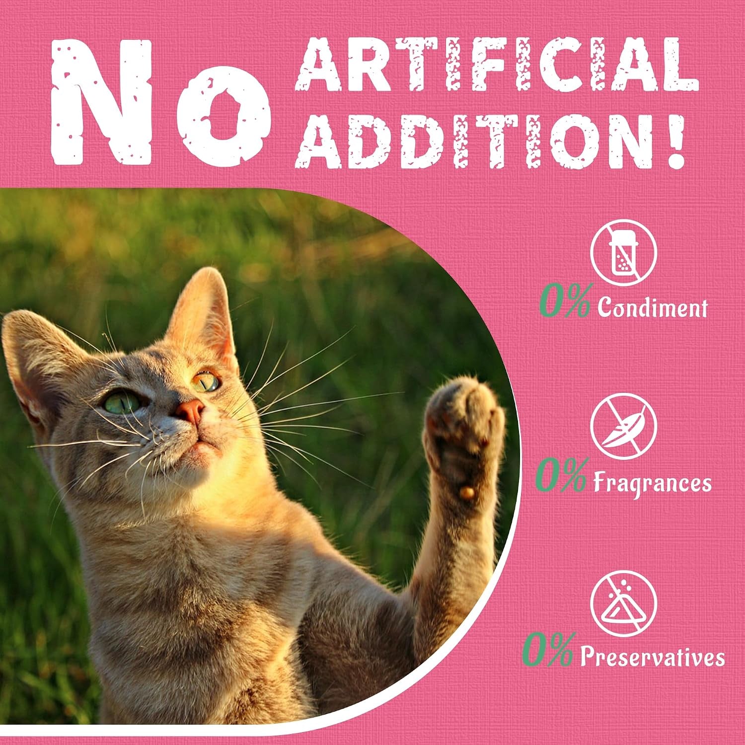 just-try-13-4-oz-urinary-tract-health-cat-treats-for-indoor-cats-cranberry-d-mannose-for-kidney-bladder-and-ut-support-health-cat-supplement-crunchy-chews