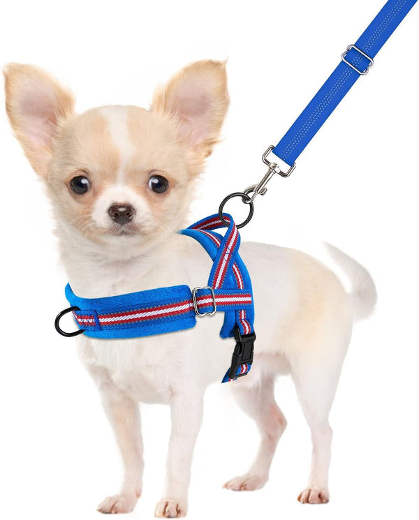 Slowton No Pull Small Dog Harness and Leash Set, Puppy Soft Vest Harness Neck & Chest Adjustable, Reflective Lightweight Harness & Anti-Twist Pet Lead Combo for Small Medium Dogs (Fuchsia, XXS)12