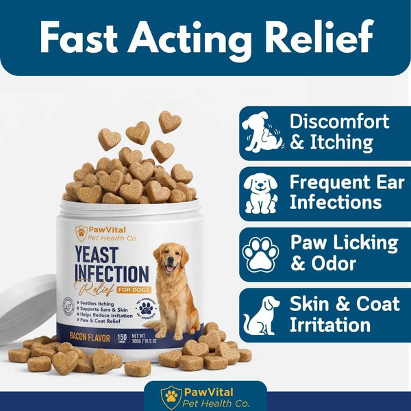 Natural Yeast Infection Treatment for Dogs, 150 Chews – anti Yeast Support for Itchy Skin & Ears – Helps Reduce Irritation & Paw Licking – Probiotic + Herbal Blend – Bacon Flavored Soft Chews2