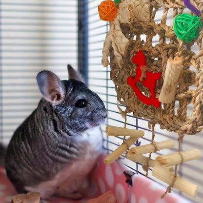 Rabbits Chew Toy,Bunny Cage Hanging Chew Toys and Treats,Grass with Sweet Bamboo for Guinea Pigs Chinchillas Hamsters Rats4
