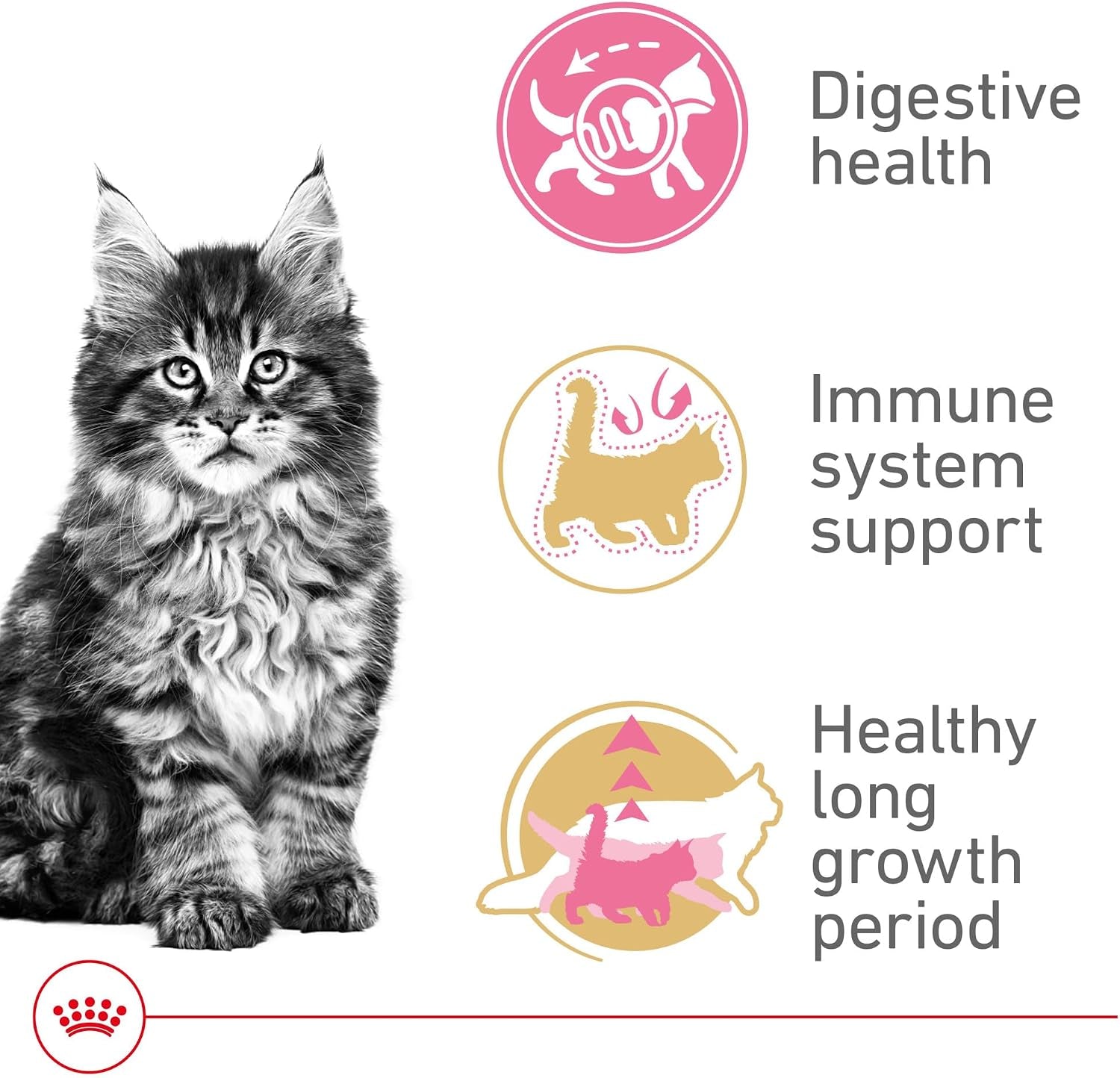 royal-canin-feline-breed-nutrition-maine-coon-kitten-dry-cat-food-3-lb-bag