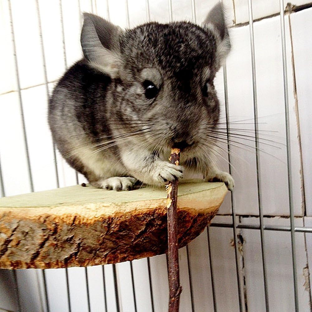 sharllen-100g-3-5oz-apple-sticks-pet-snacks-chew-toys-for-guinea-pigs-chinchilla-squirrel-rabbits-hamster