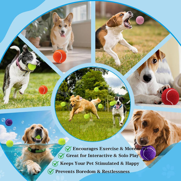 Magicorange Tennis Balls for Dogs,Colorful Easy Catching Dog Balls,4 Pack | Bright Yellow/Pink/Orange/Blue Dog Playing Balls, Easy to Spot and Fetch, with Mesh Bag for Training and Outdoor Fun7