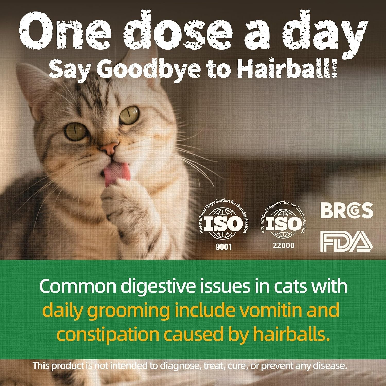 just-try-14-oz-cat-grass-treats-for-indoor-cats-hairball-control-salmon-flavor-dental-care-catnip-for-cats-crunchy-kitten-snacks-training-biscuits
