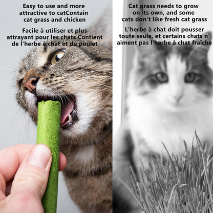 20Pcs Cat Grass Stick Snacks (100G), Freeze Dried Snacks, Catnip, for Cat Dental Care and Hairball Removal, Pampering Gastrointestinal System5