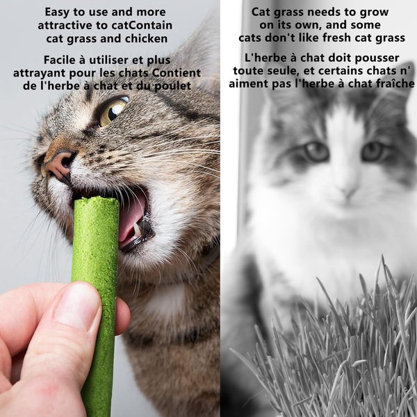 20Pcs Cat Grass Stick Snacks (100G), Freeze Dried Snacks, Catnip, for Cat Dental Care and Hairball Removal, Pampering Gastrointestinal System5