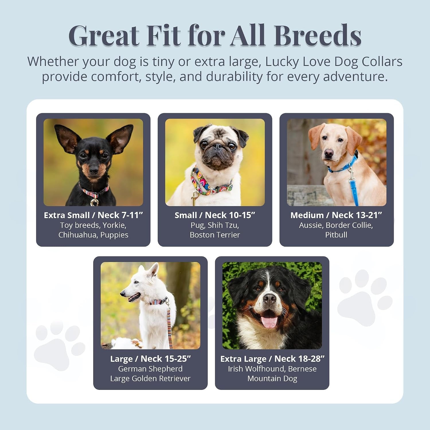 lucky-love-dog-easy-click-buckle-dog-collar-with-leash-set-combo-durable-comfortable-for-male-female-dogs-pet-collar-for-medium-dogs-secure-fit-blackbird-combo-medium