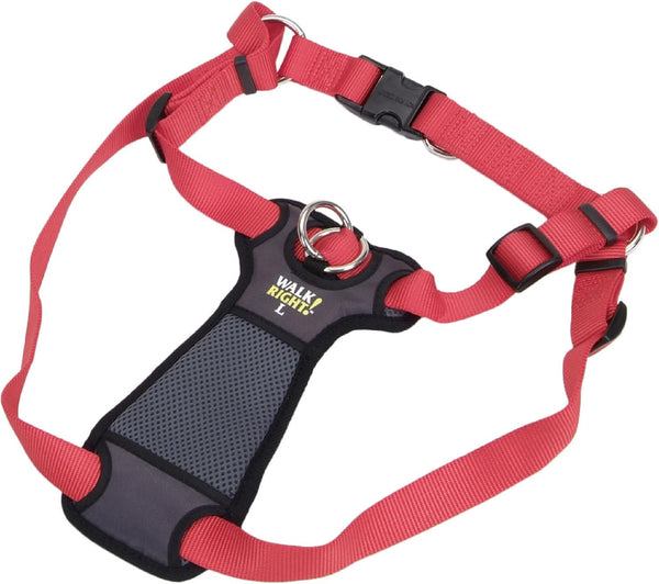 Coastal Pet Walk Right Front-Connect No-Pull Padded Dog Harness - Adjustable & Comfortable Dog Harness - Small & Large Breed Fit - Quality Pet Supplies - Black, LRG (26"-38")13