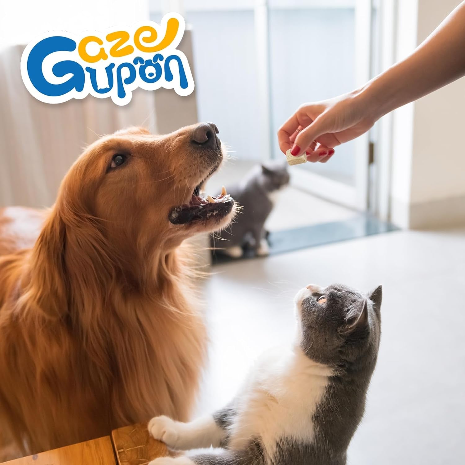 gazeupon-freeze-dried-chicken-dog-cat-treats-single-ingredient-high-protein-training-treats-food-topper-for-picky-eaters-grain-free-natural-snacks-for-puppies-and-adult-dogs-10-58-oz
