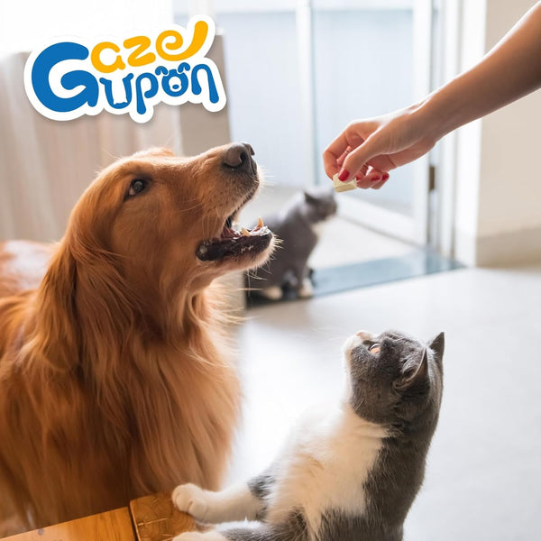Gazeupon Freeze Dried Chicken Dog & Cat Treats, Single Ingredient | High Protein Training Treats, Food Topper for Picky Eaters, Grain Free, Natural Snacks for Puppies and Adult Dogs, 10.58 Oz8