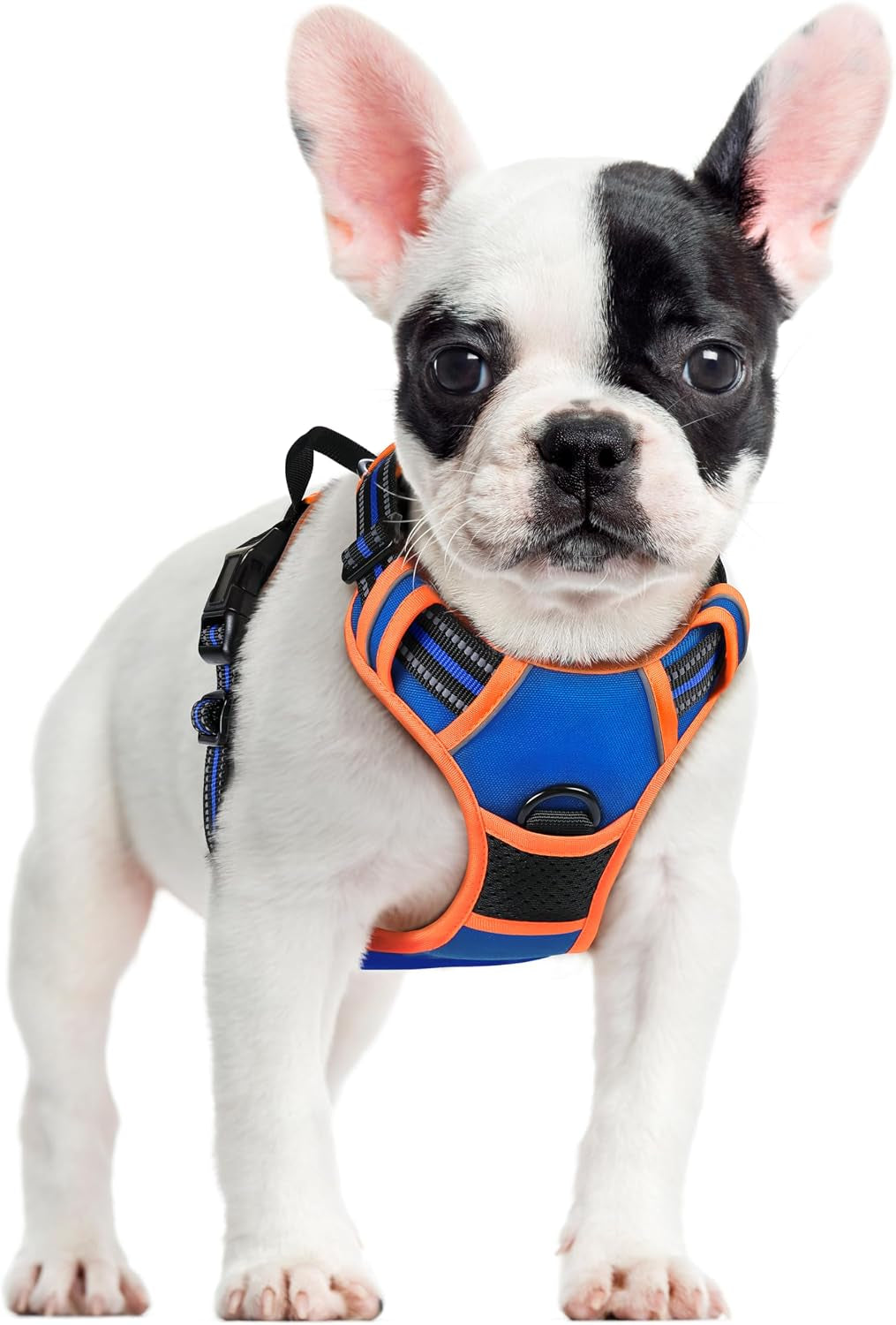 rabbitgoo-dog-harness-no-pull-for-large-dogs-with-2-leash-clips-pet-vest-no-choke-with-handle-adjustable-soft-padded-reflective-easy-control-for-walking-black-large