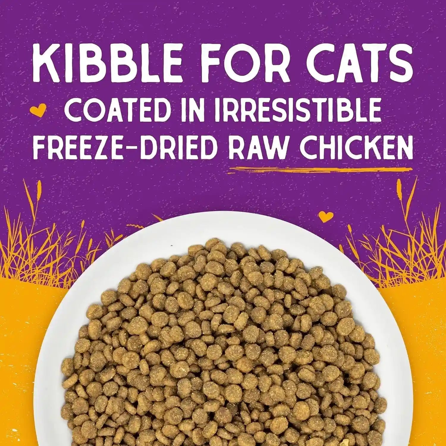 stella-chewys-raw-coated-cat-food-high-protein-grain-free-kibble-with-cage-free-chicken-premium-digestive-support-with-probiotics-natural-small-kibble-perfect-for-picky-eaters-2-5lb-bag