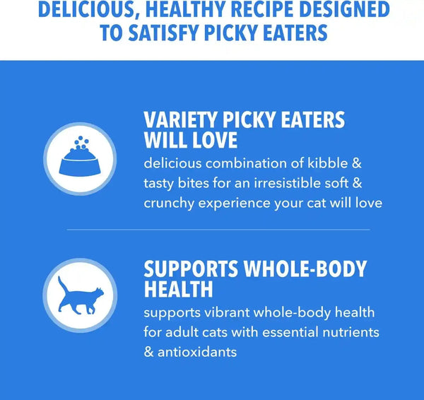 IAMS Healthy Enjoyment Dry Cat Food, Chicken & Salmon Recipe, 3 Lb | Vet-Recommended, Real Chicken #1 Ingredient, Natural Fiber & Prebiotics, Supports Immune & Digestive Health, Muscle Care3
