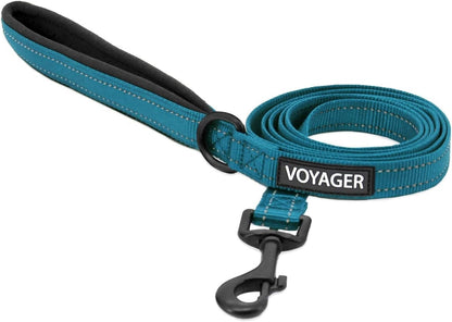 Best Pet Supplies Voyager Nylon Dog Leash - Fuchsia, Small | 5Ft in Length, 5/8" in Width, Reflective, Soft Neoprene Handle, Heavy Duty Metal Clips for Running, Walking & Training14