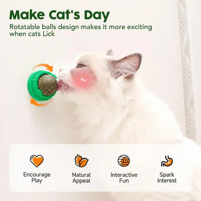 Potaroma Catnip Toys Balls 4 Pcs with Extra Cat Energy Ball | Edible Kitten Catnip Silvervine Toys for Cats Lick, Healthy Kitty Teeth Cleaning Dental Chew Toys, Cat Wall Treats (Green)3