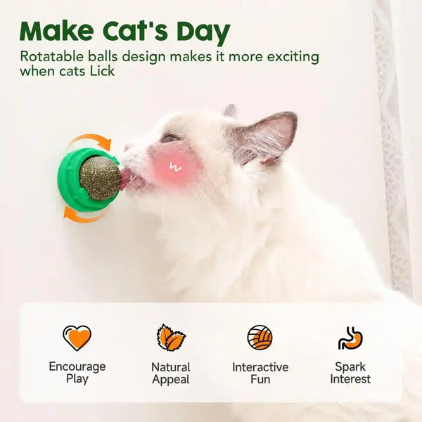 Potaroma Catnip Toys Balls 4 Pcs with Extra Cat Energy Ball | Edible Kitten Catnip Silvervine Toys for Cats Lick, Healthy Kitty Teeth Cleaning Dental Chew Toys, Cat Wall Treats (Green)3