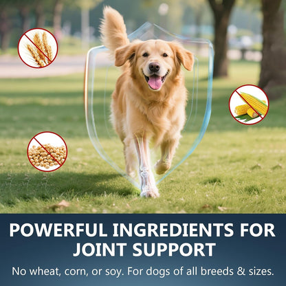 Glucosamine for Dogs - 150 Soft Chews, Hip & Joint Supplement with MSM, Chondroitin, Turmeric – Joint Support for Dogs Chicken Flavor – Vet Formulated – 2-Month Supply4
