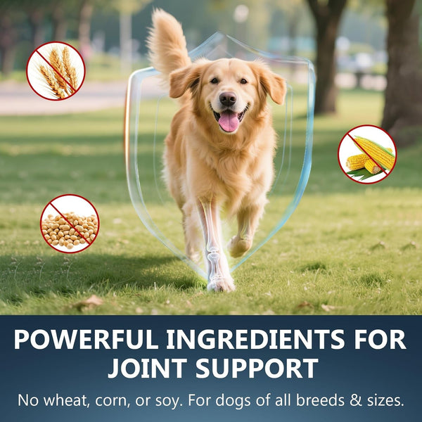 Glucosamine for Dogs - 150 Soft Chews, Hip & Joint Supplement with MSM, Chondroitin, Turmeric – Joint Support for Dogs Chicken Flavor – Vet Formulated – 2-Month Supply4
