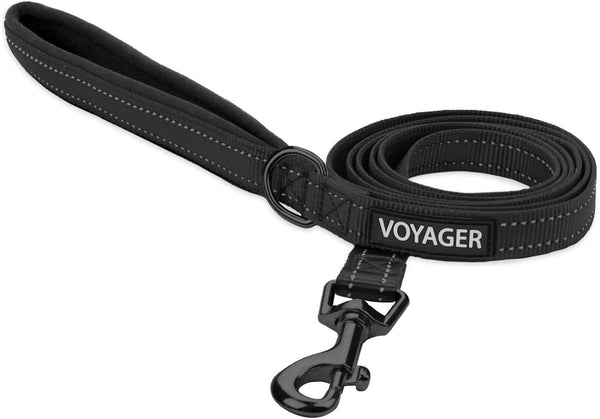 Best Pet Supplies Voyager Nylon Dog Leash - Fuchsia, Small | 5Ft in Length, 5/8" in Width, Reflective, Soft Neoprene Handle, Heavy Duty Metal Clips for Running, Walking & Training37
