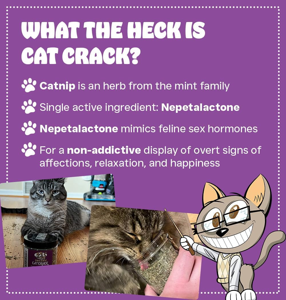 cat-crack-catnip-zoomie-inducing-cat-nip-100-natural-north-american-made-100-natural-safe-non-addictive-catnip-treats-used-to-supplement-cat-nip-toys-spray-accessories-1-cup