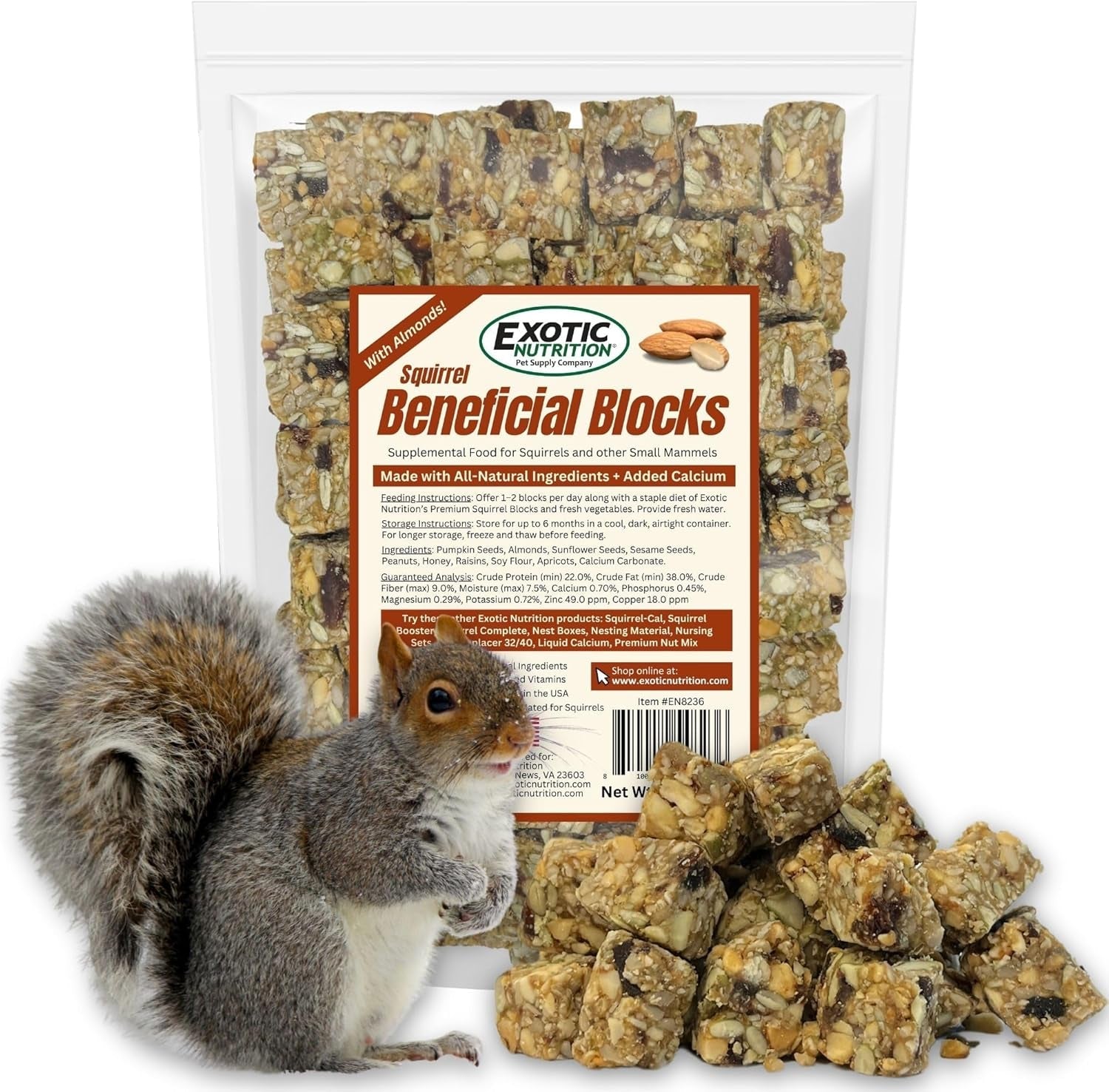 exotic-nutrition-squirrel-beneficial-blocks-healthy-unique-supplemental-food-with-nuts-seeds-10-oz