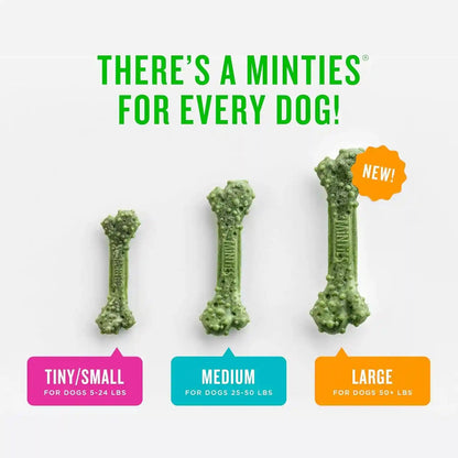 Minties Dog Dental Bone Treats, Tiny/Small Dental Dog Treats, 16 Ounces, Cleans Teeth, Fight Bad Breath, Removes Plaque and Tartar, 40 Count3
