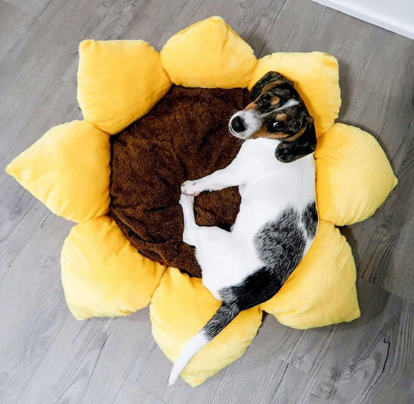 TONBO Soft Plush Small Cute and Cozy Nature Dog Cat Bed, Washer and Dryer Friendly (Sunflower)2