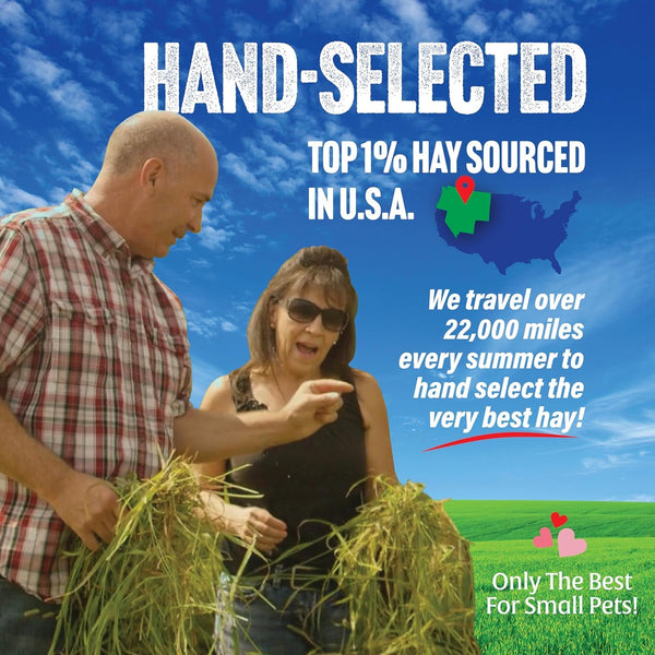Small Pet Select Hay Sampler Box, Timothy, Oat & Orchard, 4 Types | Try 2Nd & 3Rd Cutting Timothy, Oat Hay & Orchard Grass, for Rabbits, Guinea Pigs, Chinchillas & Small Pets4