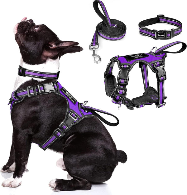 WINSEE Pet Harness Collar and Leash Set, All-In-One Reflective Dog Harness No Pull with Adjustable Buckles for Puppies, Small, Medium, Large, and Extra-Large Dogs (Large, Pink)25