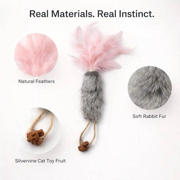 3 Pack Rabbit Fur Catnip Toys with Feathers – Interactive Carrot Cat Toys with Galls Fruit for Indoor Cats and Kittens4