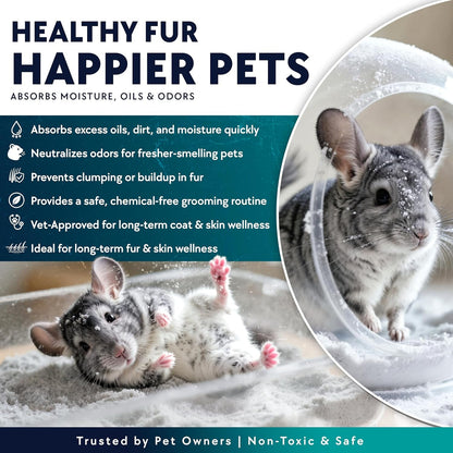 3 LB. Chinchilla Dust Bath Jar - Pure Cleansing Pumice Sand Dust for Cleaning Small Pets like Gerbils, Mice, Degu - Premium, All Natural Dusting Powder - Chinchilla Accessories by Billy Buckskin3