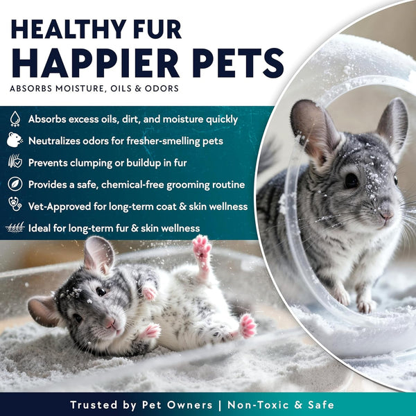 3 LB. Chinchilla Dust Bath Jar - Pure Cleansing Pumice Sand Dust for Cleaning Small Pets like Gerbils, Mice, Degu - Premium, All Natural Dusting Powder - Chinchilla Accessories by Billy Buckskin3