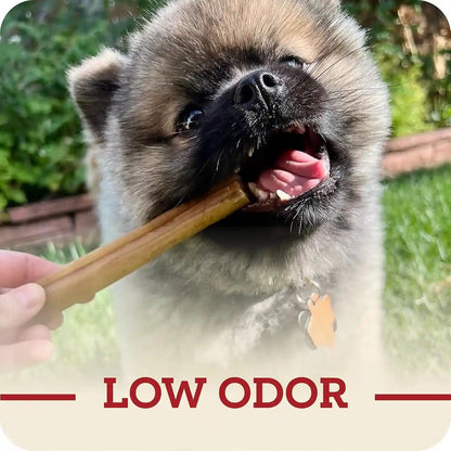 Redbarn Pet Products All-Natural Large 12" Beef Collagen Sticks for Dogs - Long Lasting Low-Odor Alternative to Traditional Rawhide & Bully Sticks - Supports Healthy Joints, Skin, & Coat - 3 Pack7