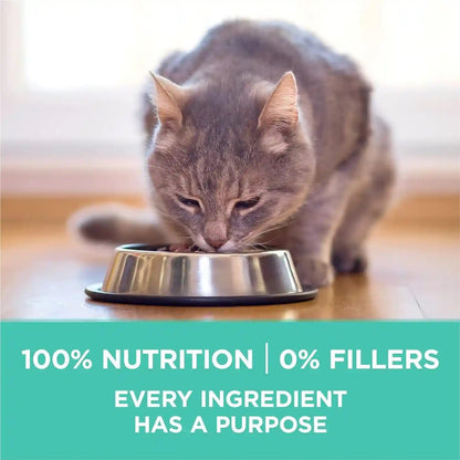 Purina ONE Sensitive Stomach, Sensitive Skin, Natural Dry Cat Food, +Plus Sensitive Skin and Stomach Formula - 16 Lb. Bag8