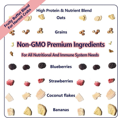 JADINGSFARM Fruity Buffet Blend Diet, 4.4 Oz Food for Hermit Crabs, All Natural Hermit Crab Food, Hermit Crab Treats, High Protein & Nutrient Blend Diet of Oats, Blueberries, Strawberry, Banana, Sprouted Seeds Mix for Hermit Crabs.2